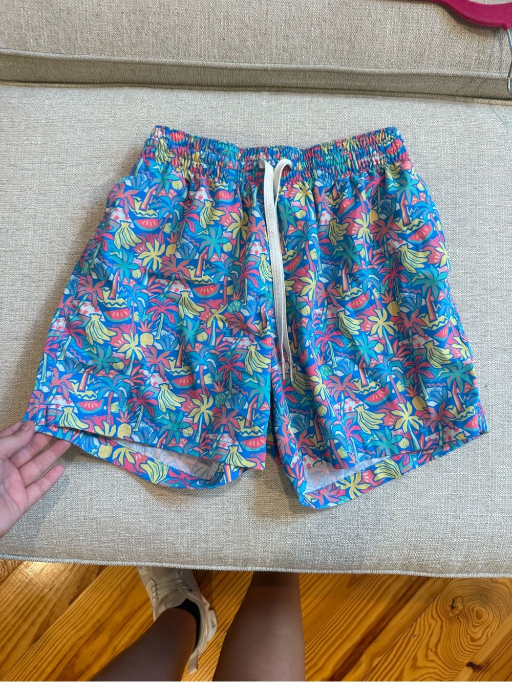 chubbies Blue and Pink Tropical Swim Trunks